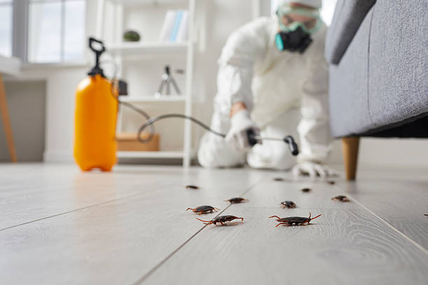 Trusted Cockroach Control service in West Whittier-Los Nietos, CA - Nex Pest Control