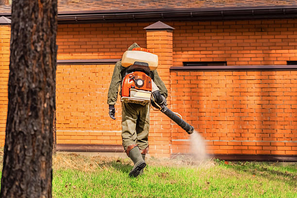 Trusted Rodent Control service in West Whittier-Los Nietos, CA - Nex Pest Control